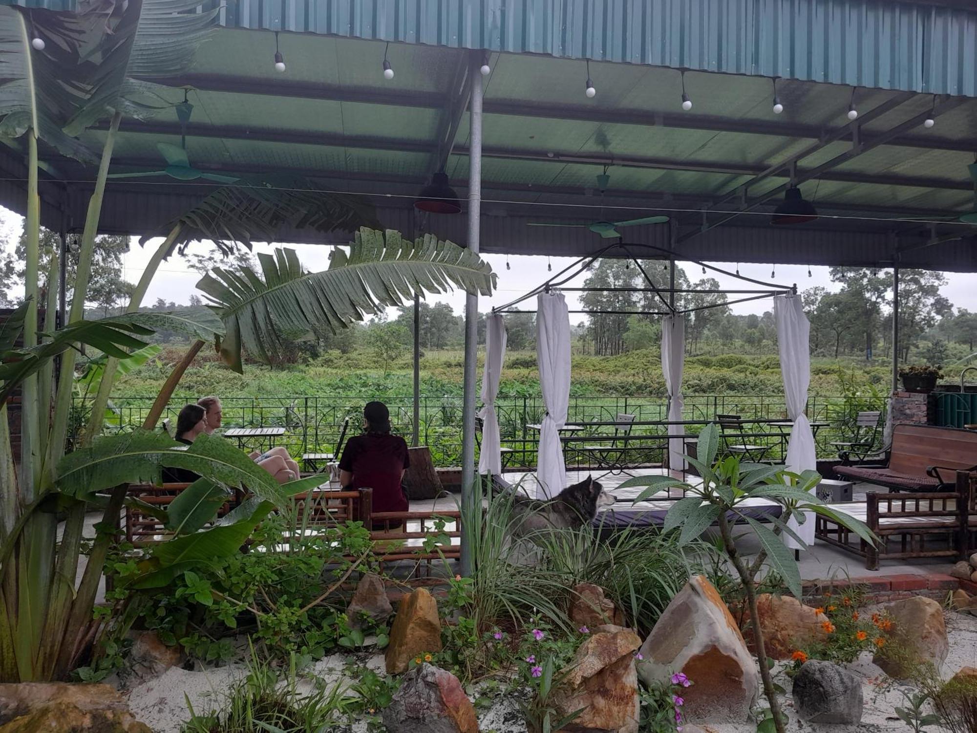 Mina Cafe & Stay Quan Lan Bagian luar foto